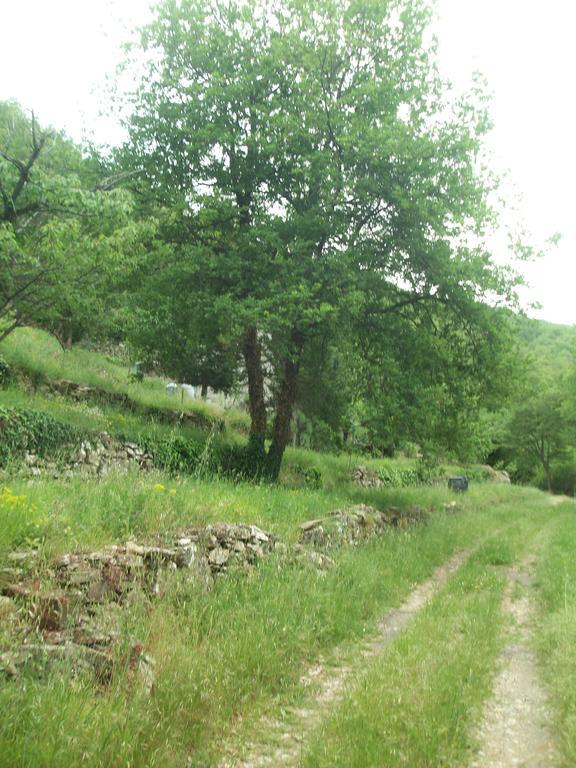 Piccolo Rifugio Nel Verde Chiusavecchia Exterior foto